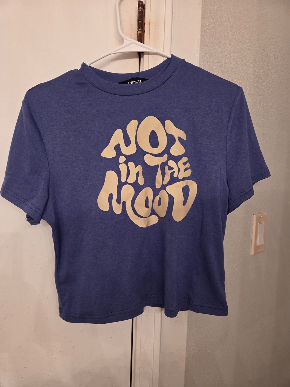 Cider Blue Crop Tee with Cream "Not in the Mood" Graphic